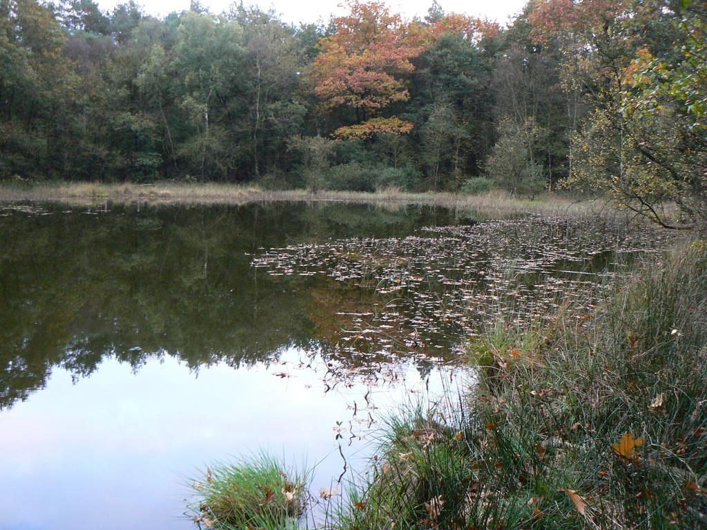 Hoeve Den Anholt Vila Ruinen Exterior foto