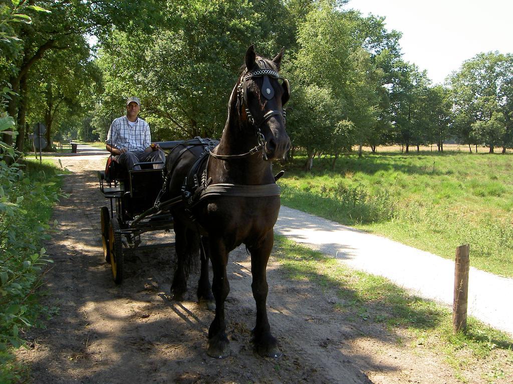 Hoeve Den Anholt Vila Ruinen Exterior foto