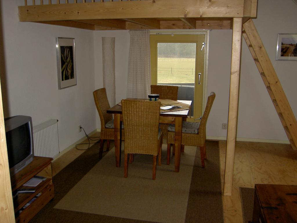 Hoeve Den Anholt Vila Ruinen Quarto foto