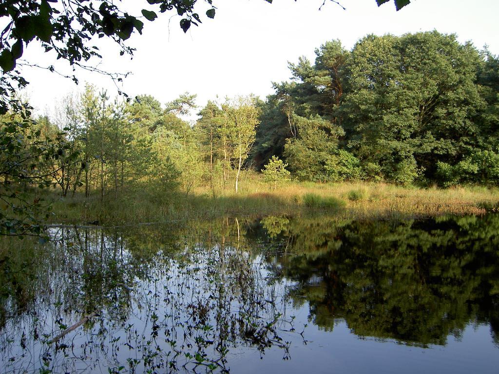 Hoeve Den Anholt Vila Ruinen Exterior foto