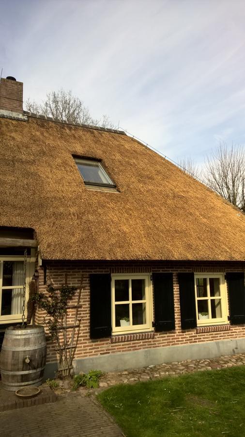 Hoeve Den Anholt Vila Ruinen Exterior foto