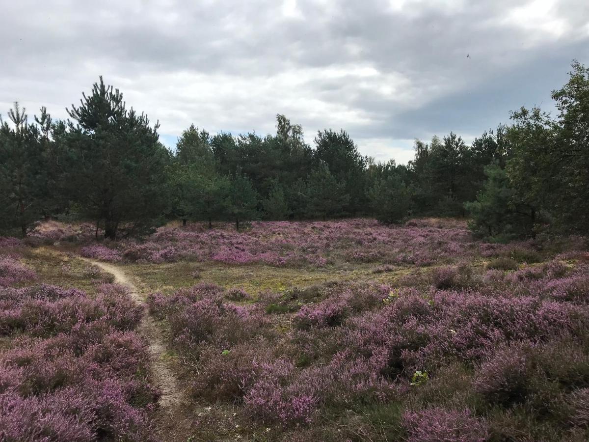Hoeve Den Anholt Vila Ruinen Exterior foto