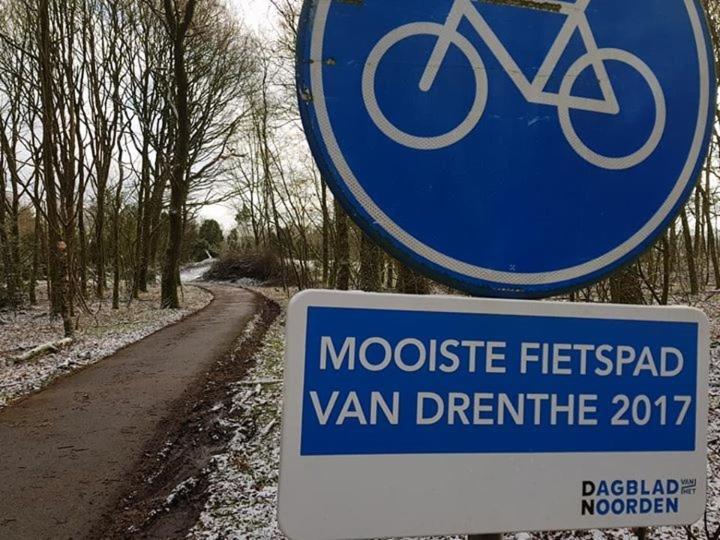 Hoeve Den Anholt Vila Ruinen Exterior foto